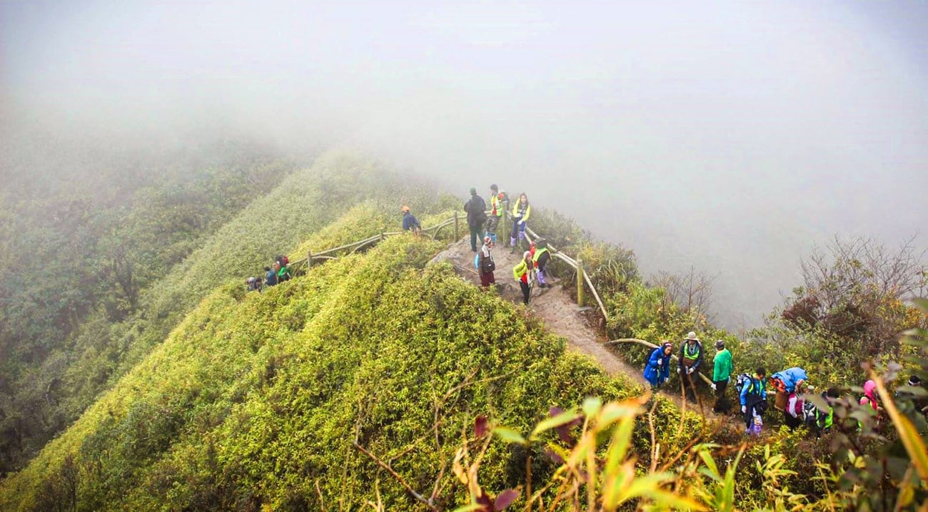 The misty trail to conquer Mount Fansipan